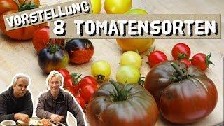 8 Tomatensorten probiert - Zitronentomate Tschernij Prinz Indigo Rose Sweetie