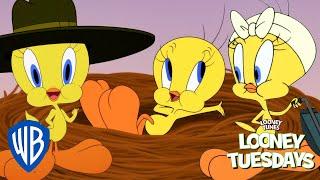 Looney Tuesdays  Best of Tweety from Looney Tunes Cartoons  Looney Tunes  @WB Kids