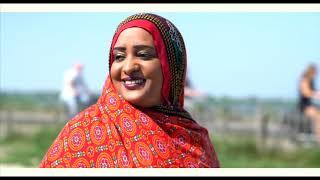 Habtat Zerezghi - ደንሳ ገበኒሪ Densa Gebeniri  New Eritrean Blin Music 2018