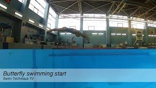 Butterfly Swimming Start