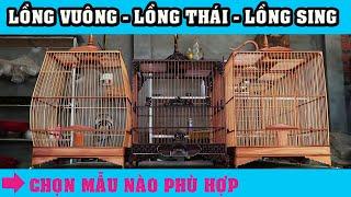 Chọn lồng chim chào mào như thế nào cho phù hợp