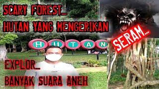 Scary Forest Hutan SERAM 2021 #Banyak Suara Aneh Mengerikan - Detektif Chan