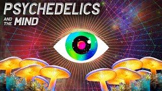 Psychedelics Telescope into the Mind