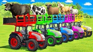 TRANSPORTING BULLS COWS SHEEPS HORSES & GOATS WITH VALTRA DEUTZ TRACTORS & MAN TRUCKS - FS22