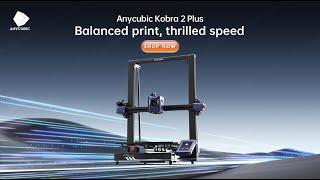 Anycubic Kobra 2 Plus - Balanced print thrilled speed