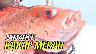 Parade Strike Kakap Merah Kuwe Lilin dan Kurisi  MANCING MANIA STRIKE BACK 140523 Part 2