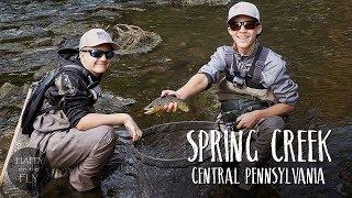 Fly Fishing Film  Spring Creek  Central Pennsylvania