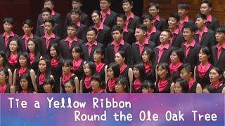 Tie a Yellow Ribbon Round the Ole Oak Tree - National Taiwan University Chorus