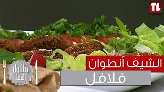 Chef Antoine - الشيف انطوان - فلافل - Falafel