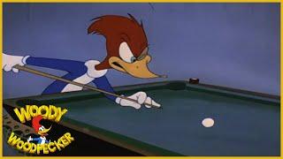 Woody Woodpecker  Solid Ivory  Full Episodes