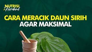 Mudah Ramuan Daun Sirih Untuk Mengatasi Bau Badan Hingga Kewanitaan  Nutrisi & Herbal #35