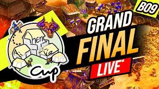 GRAND FINAL #$20000 ShenAiXie CUP 1v1