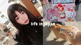 JAPAN VLOG  capybara onsen strawberry festival relaxing in an private Ryokan skiing in Nagano