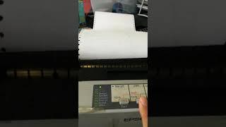 How to set Auto Tear Off for Epson LQ 310