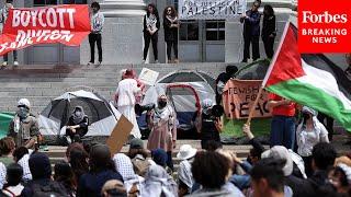 Pro-Palestinian Demonstrators Gather On University Of California Berkleys Campus