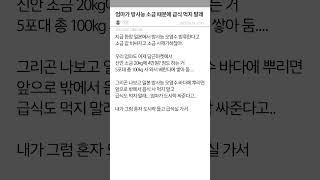 엄마가 방사능 소금 때문에 급식 먹지 말래