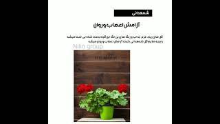 راز خانه داری ، راه درمان افسردگی و خونه ای شاد داشتن The secret to relaxation and anti-depressant