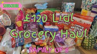 £120 Lidl Haul  Groceries For A Family Of 5  Mum Life UK 