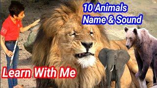 Animals name  10 animals name  animals sound  Animals name & sounds  Animals name for kids