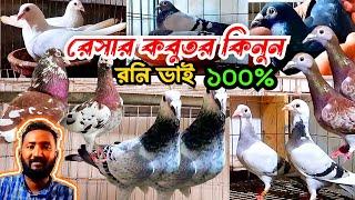 আসল রেসার কবুতর কিনুন  রনি ভাইয়ের ক্লাবের রেসার কবুতর বিক্রি হবে।  racing pigeons loft