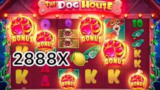 STRIMDAGI TOP 5 ta zanoslar The dog House 2888Х max win 149.000.000 söm yutuq