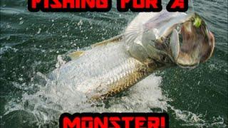 Fishing For A Monster *Niagara River*