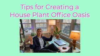 Tips for Creating a House Plant Home Oasis