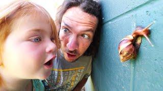 MY PET SNAIL New Morning Routine catching bugs with Adley in Hawaii