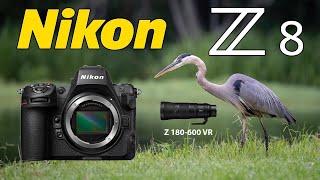 Nikon Z8 Bird Photography 180-600mm Lens