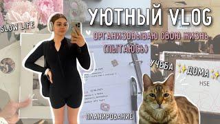 vlog УЮТНЫЙ день  продуктивно почти  учеба онлайн любимая еда дождь и романтизация жизни₊ ⊹