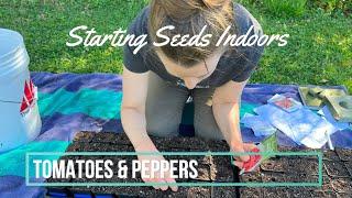 Starting Tomato & Pepper Seeds When How Varieties