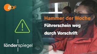 Führerschein futsch nach sechs Monaten  Hammer der Woche vom 25.11.23  ZDF