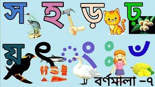 বর্ণমালা-৭।বাংলা ব্যঞ্জনবর্ণ স হ ড় ঢ় য় ৎ ং ৺।ব্যঞ্জনবর্ণ শিখি ছবি দেখে।Bangla banjonbarnobarnamala