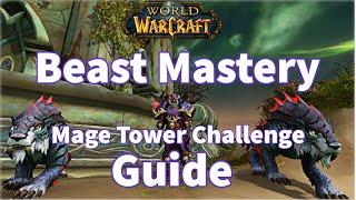 Beast Mastery Hunter Mage Tower Guide  World of Warcraft  Dragonflight