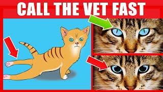 If Your Cat Does This IMMEDIATELY Call The Vet 16 Signs Your Cat Needs Urgent Help