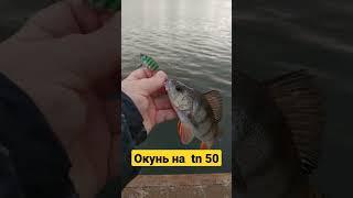 Вибы рулят по осени