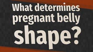 What determines pregnant belly shape?