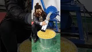 Maize flour miling corn grinding wheat crusher machine