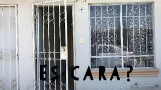 Casa INFONAVIT una recámara $350 mil pesos‼️