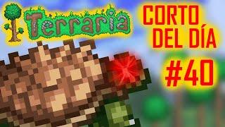 Porqué pegan tanto las Tortugas - Corto del Día - Capítulo 40 #shorts #tutorial #terraria #español