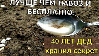 1 ЛОЖКУ НА ВЕДРО ВОДЫ И ЗЕМЛЯ КАК НОВАЯ ПРОЛЕЙТЕ ЭТИМ ЗЕМЛЮ ДЛЯ ОБИЛЬНОГО УРОЖАЯ ВСЕХ КУЛЬТУР.