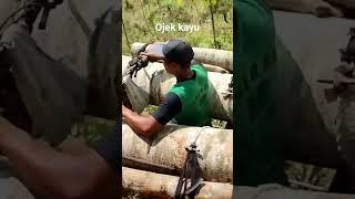 very dangerous transporting a lot of wood using a motorbike #dangerouswork #woodworking