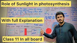 Role of Sunlight in Photosynthesis#mdcat biology#Fsc biology