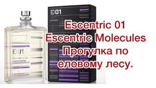 Escentric Molecules Escentric 01. Прогулка в еловом лесу.