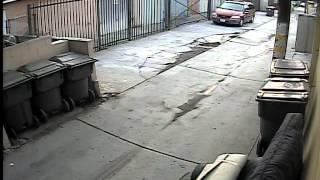 Shitter Captured on Security Cam