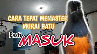 CARA MEMASTER MURAI BATU  % Pasti MASUK.