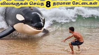 சேட்டை செய்யும் விலங்குகள்  Incredible Animal Moments  Tamil Info Share