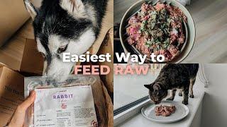 Viva Raw Dog Food Review  Complete & Balanced Raw Diet  Kibble to Raw