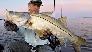 The Secret To Catching Big Snook With Topwater Lures