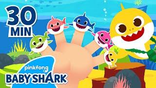 Shark Finger Family and More  +Compilation  Baby Shark Songs  Baby Shark Official